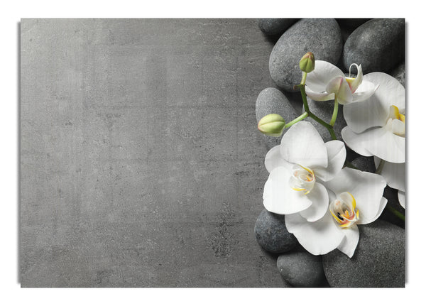 White Orchid on grey pebbles