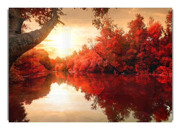 Stunning red forest reflections in the river