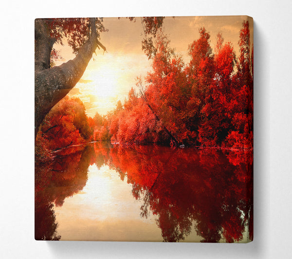 A Square Canvas Print Showing Stunning red forest reflections in the river Square Wall Art