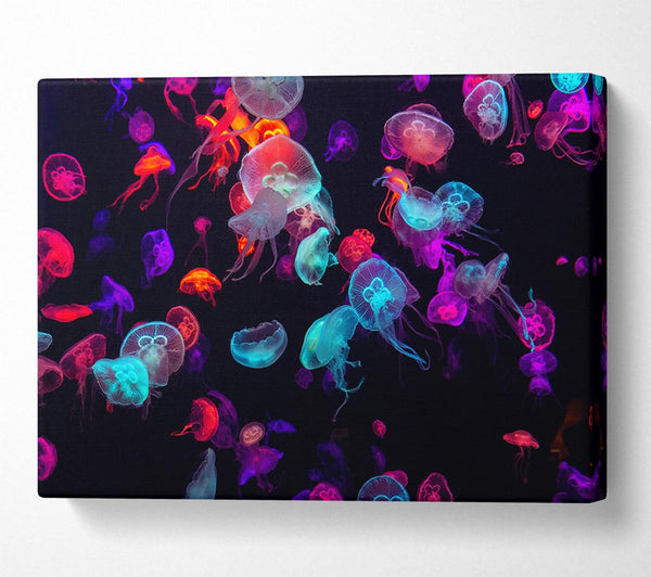 Picture of Neon Jellyfish frenzy Canvas Print Wall Art