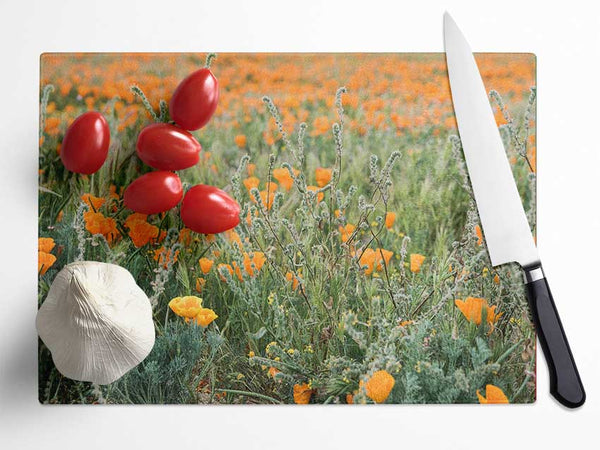 Orange flowers in the spring field Glass Chopping Board