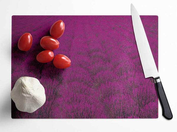 Impressive fields of lavender Glass Chopping Board