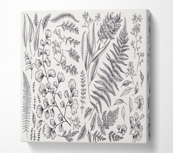 A Square Canvas Print Showing Natures Leaves Hand Drawn Square Wall Art