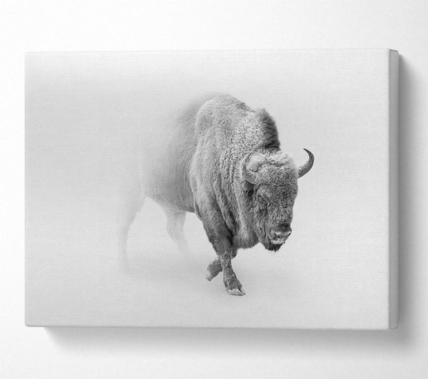 Picture of Bison In The Mist Canvas Print Wall Art
