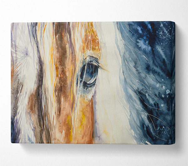Picture of Deep Into Horses Eye Canvas Print Wall Art