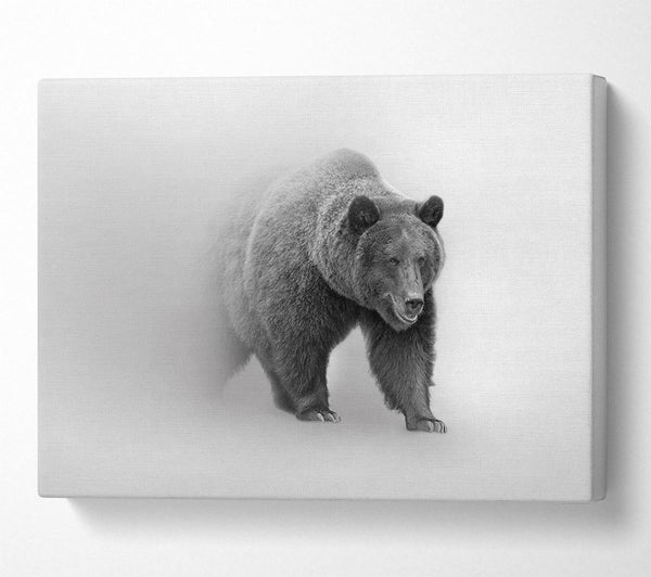 Picture of Bear In The Mist Canvas Print Wall Art