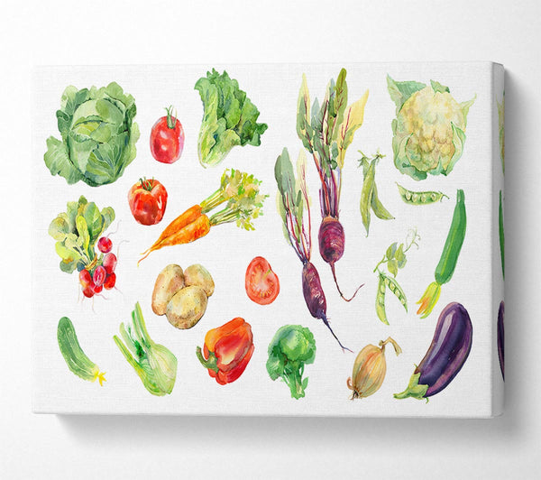 Picture of Selection Of Watercolour Vegetables Canvas Print Wall Art