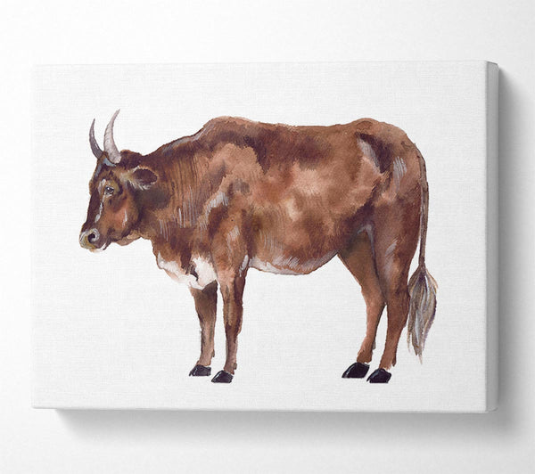 Picture of Big Brown Cow Canvas Print Wall Art