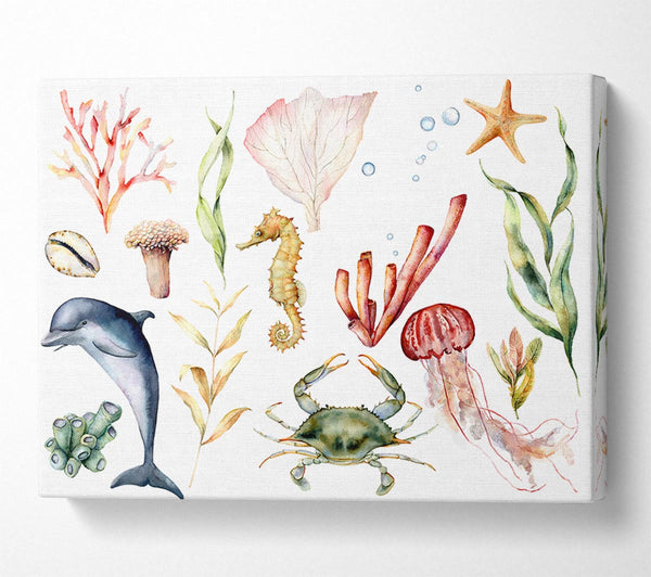 Picture of Water Colour Sea Creatures Canvas Print Wall Art