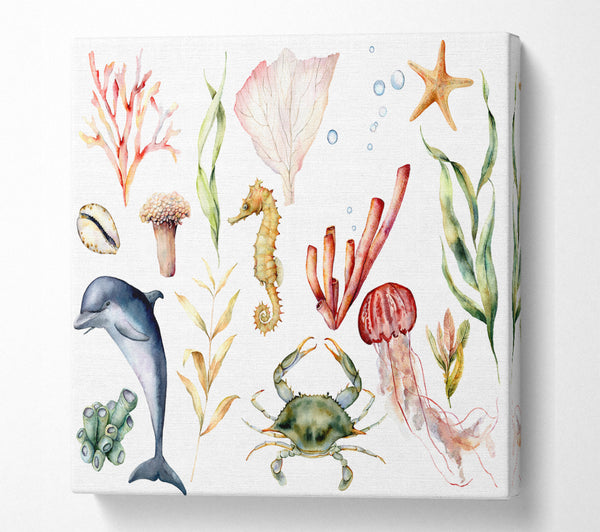 A Square Canvas Print Showing Water Colour Sea Creatures Square Wall Art
