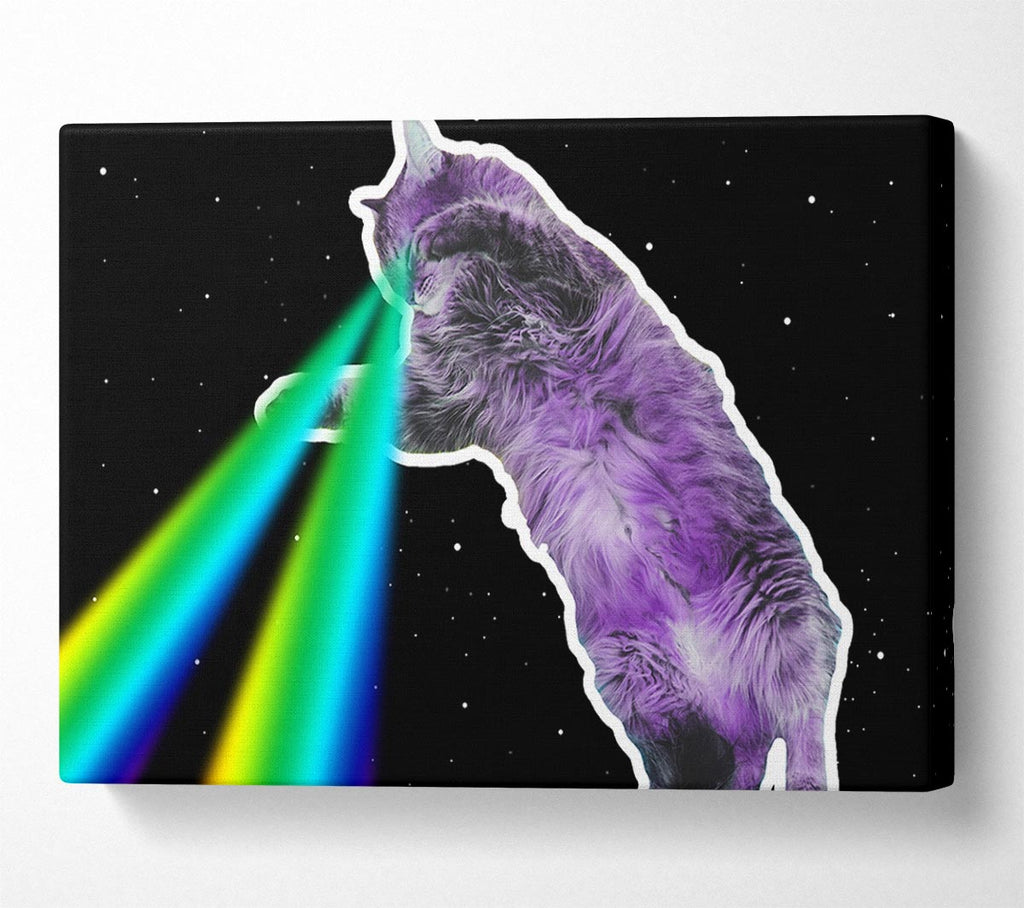 Picture of Cat Lazer Beam Space Canvas Print Wall Art