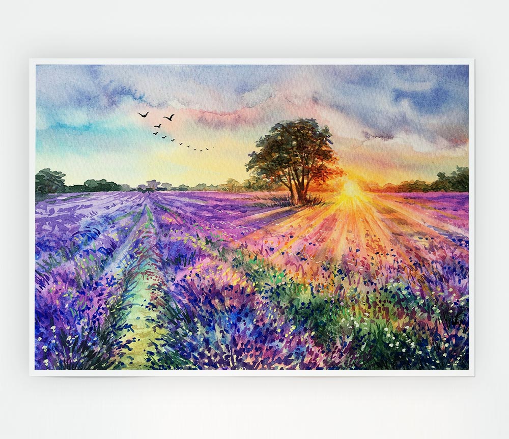 Lilac Fields Sunset Print Poster Wall Art