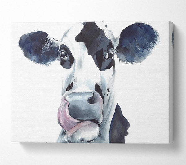Picture of Cow Licking Canvas Print Wall Art