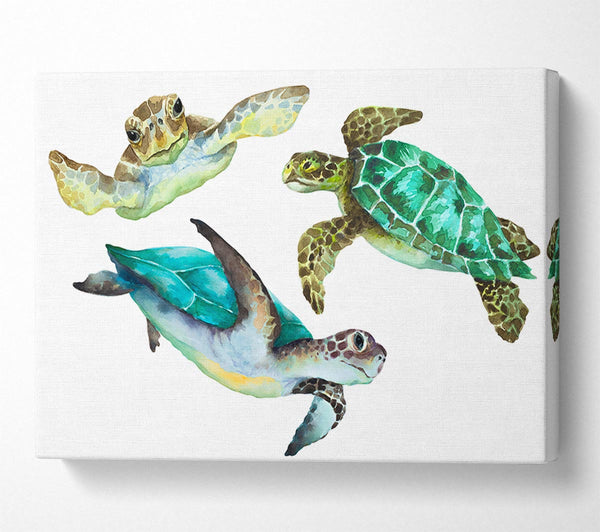 Picture of Seaturtle Love Canvas Print Wall Art
