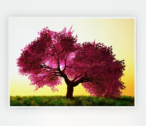 The Pink Tree Blossom Hilltop Print Poster Wall Art