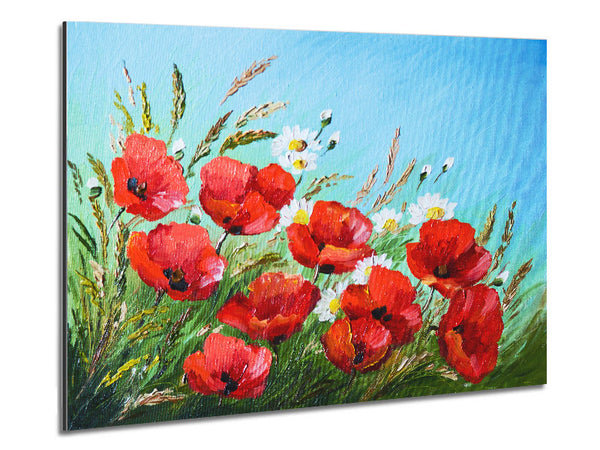 Poppies Under The Blue Sky Dream