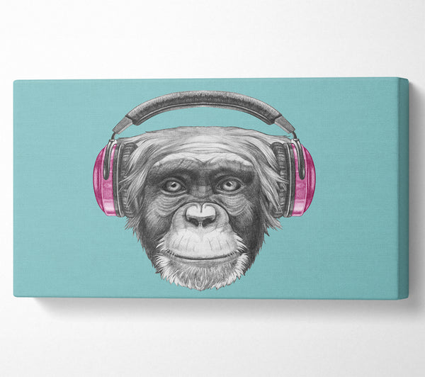 Chimpanzee Headphone Dj