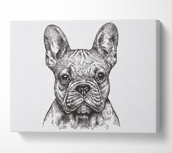 Picture of French Bulldog Sketch Canvas Print Wall Art