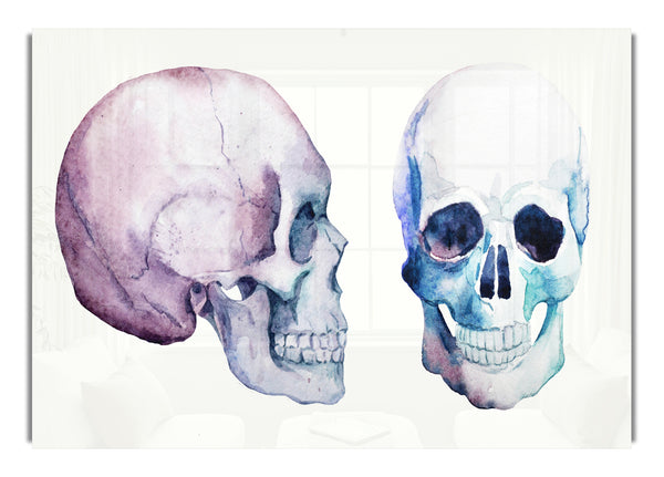 Two Skulls Meet