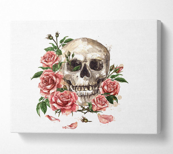 Picture of The Floral Skull Canvas Print Wall Art