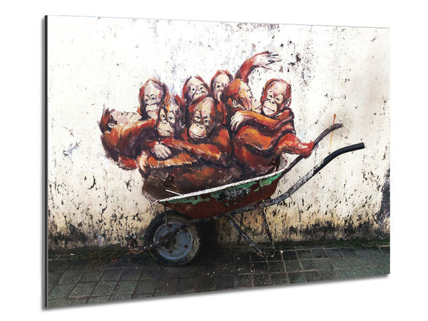 Orangutans In A Wheelbarrow