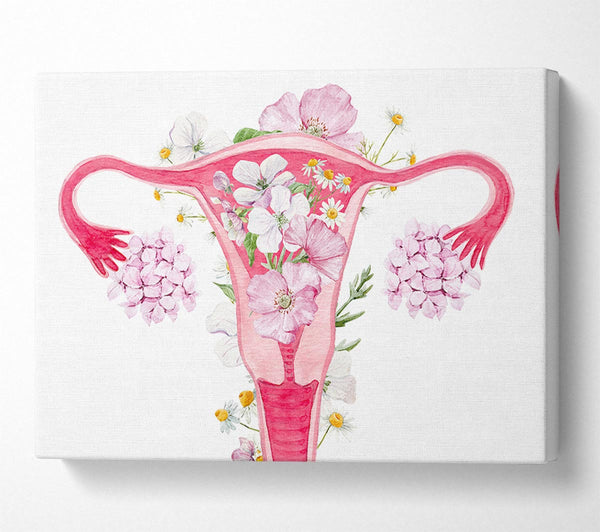 Picture of Floral Female Anatomy Canvas Print Wall Art