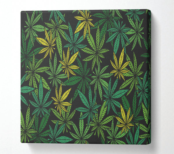 A Square Canvas Print Showing Cannabis Leaves Square Wall Art