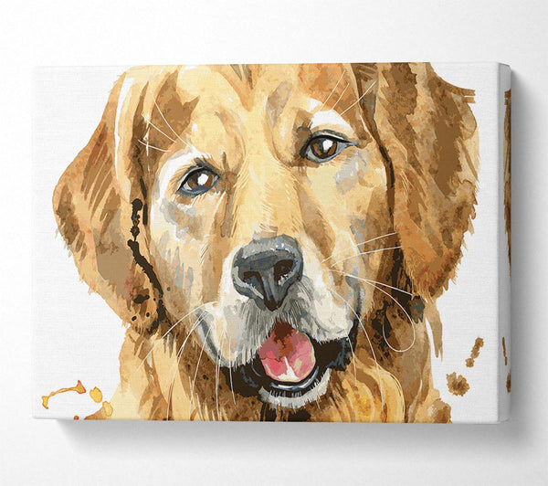 Picture of Labrador Happiness Canvas Print Wall Art