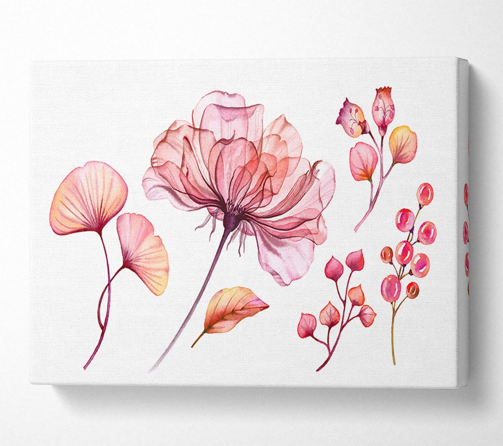 Picture of Pink Flower Madness Canvas Print Wall Art