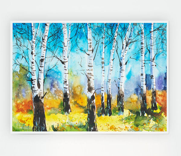 The Beautiful Birch Trees Print Poster Wall Art