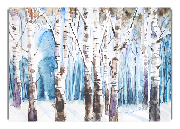 The Beautiful Birch Trees In The Snow