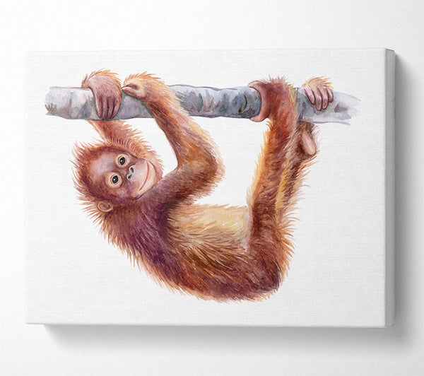 Picture of Hanging On A Branch Orangutan Canvas Print Wall Art