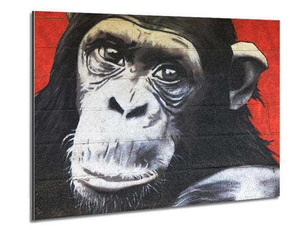 The Chimp On Red