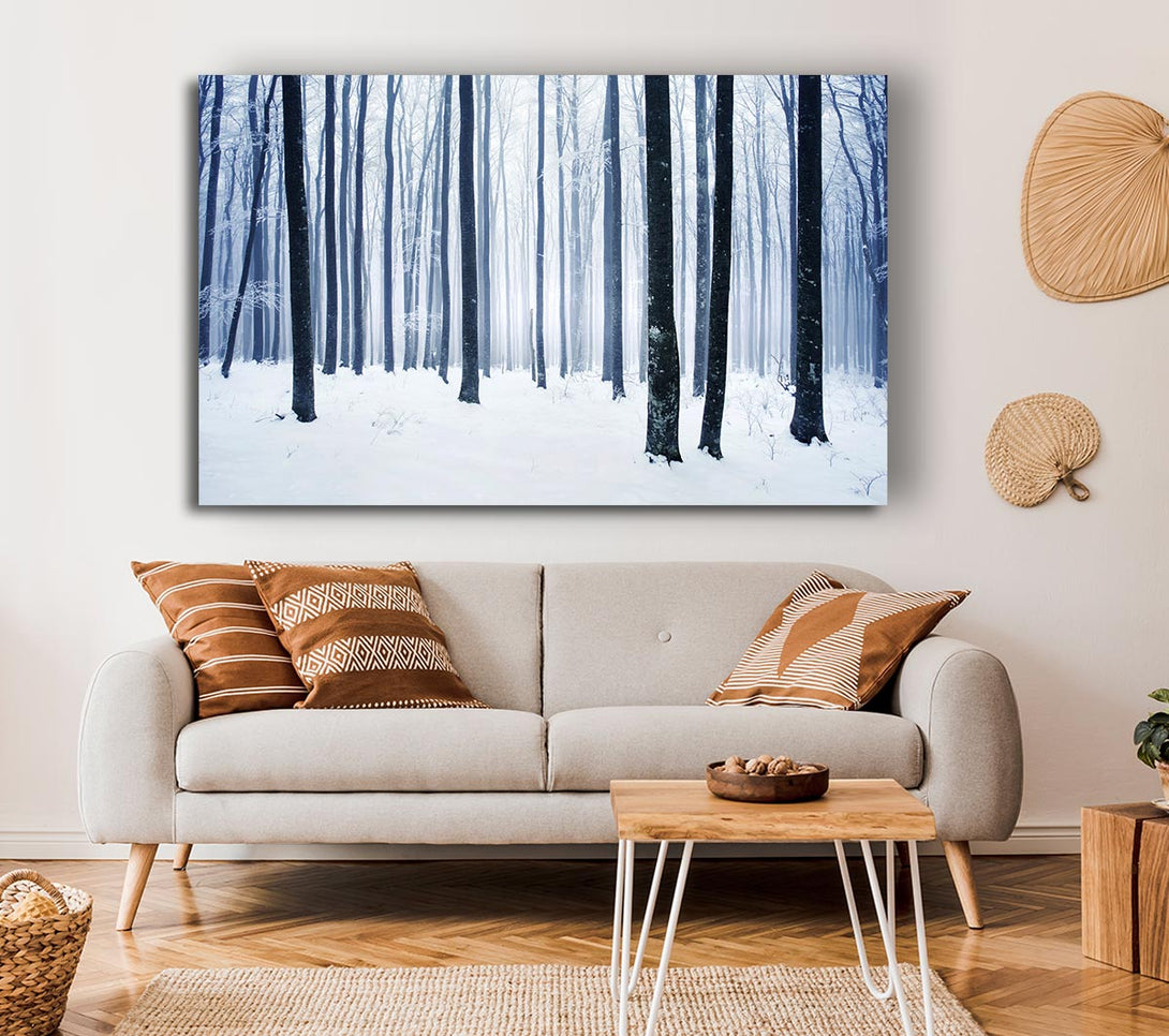 Picture of Winter Magic Canvas Print Wall Art