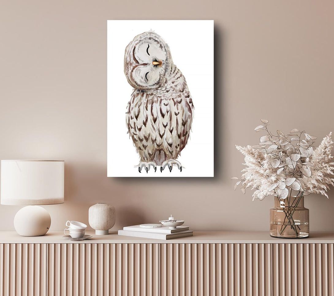Picture of Owl Feathers Canvas Print Wall Art