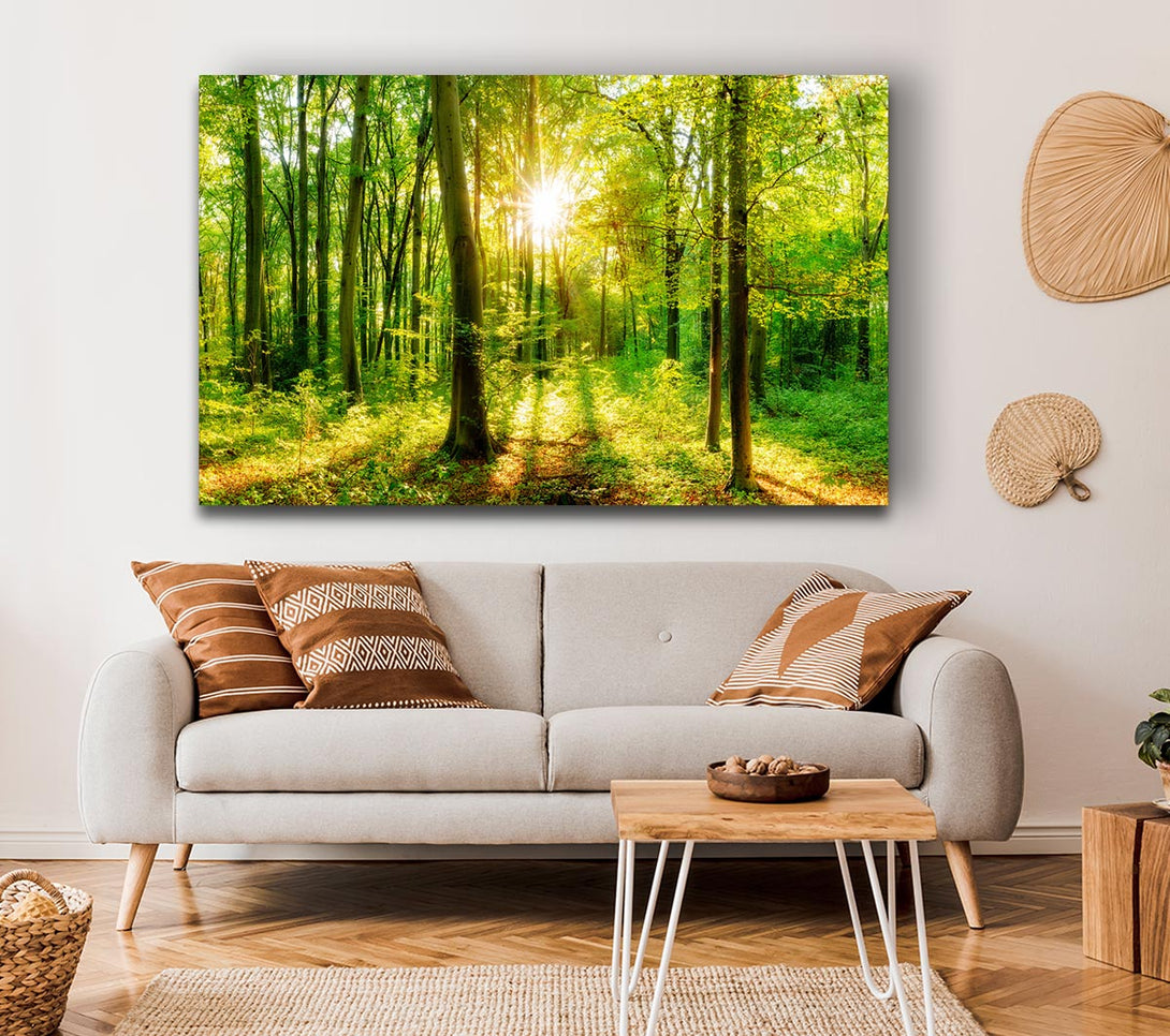 Picture of Green forest beauty Canvas Print Wall Art