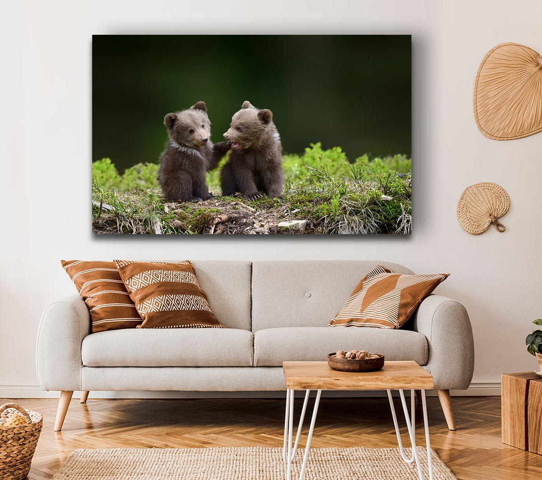 Picture of Two bear cubs playing Canvas Print Wall Art