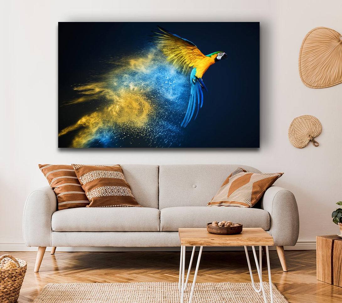 Picture of powder parrot take off Canvas Print Wall Art