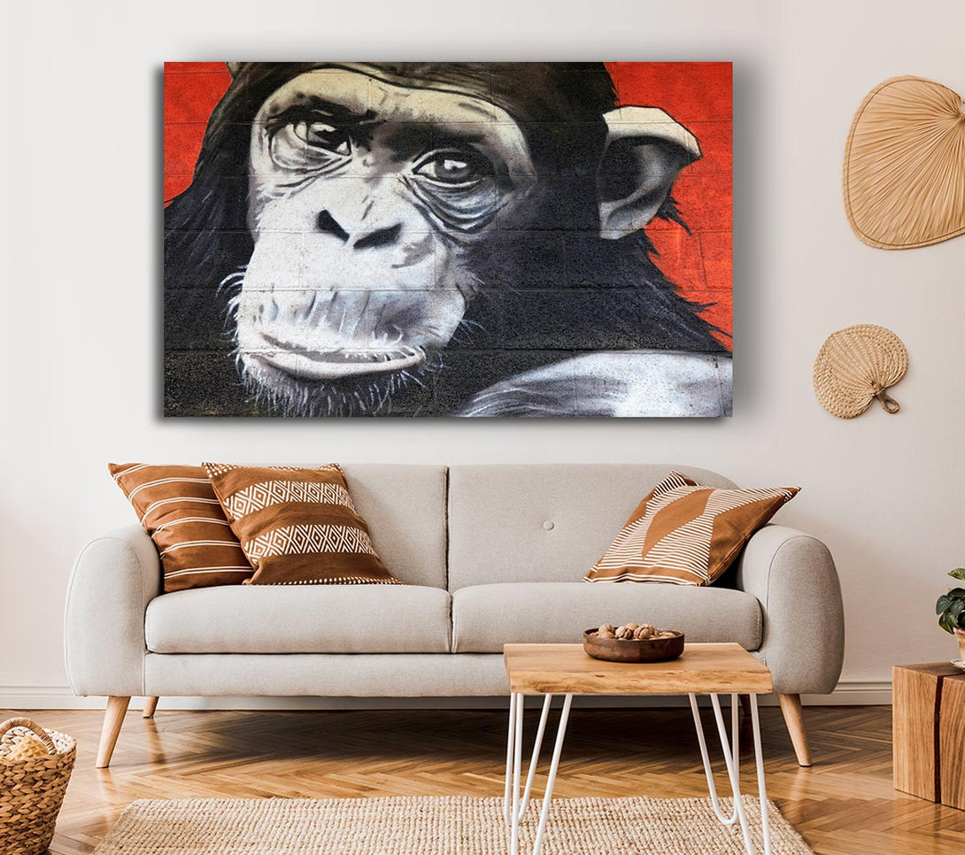 Picture of The Chimp On Red Canvas Print Wall Art