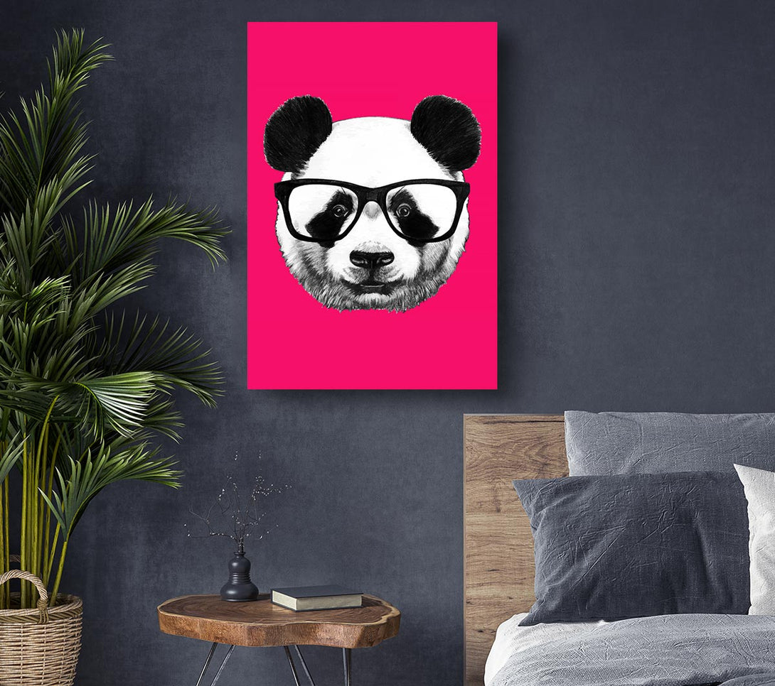 Picture of Funky Panda Canvas Print Wall Art