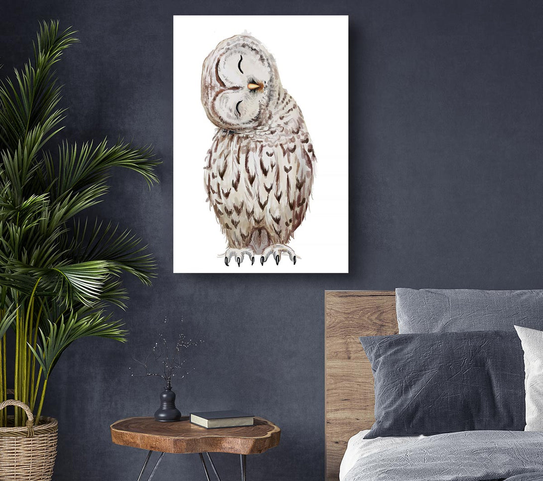 Picture of Owl Feathers Canvas Print Wall Art