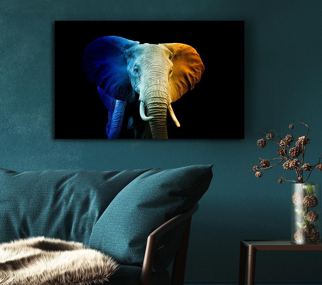 Picture of Tri Coloured Elephant Canvas Print Wall Art