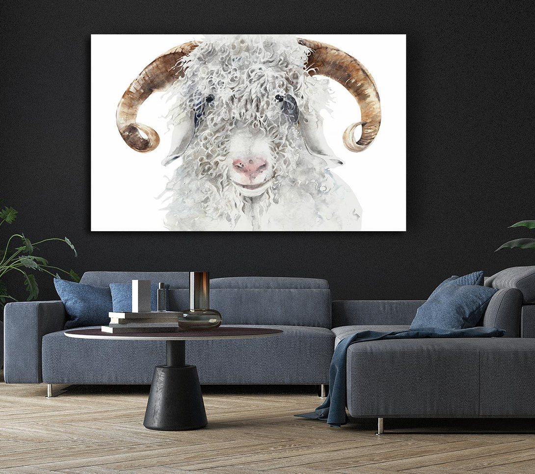Picture of Sheep Beauty Canvas Print Wall Art