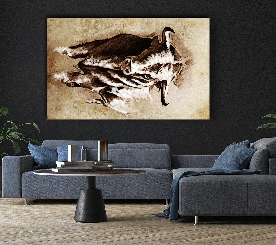 Picture of Bull Stare Canvas Print Wall Art