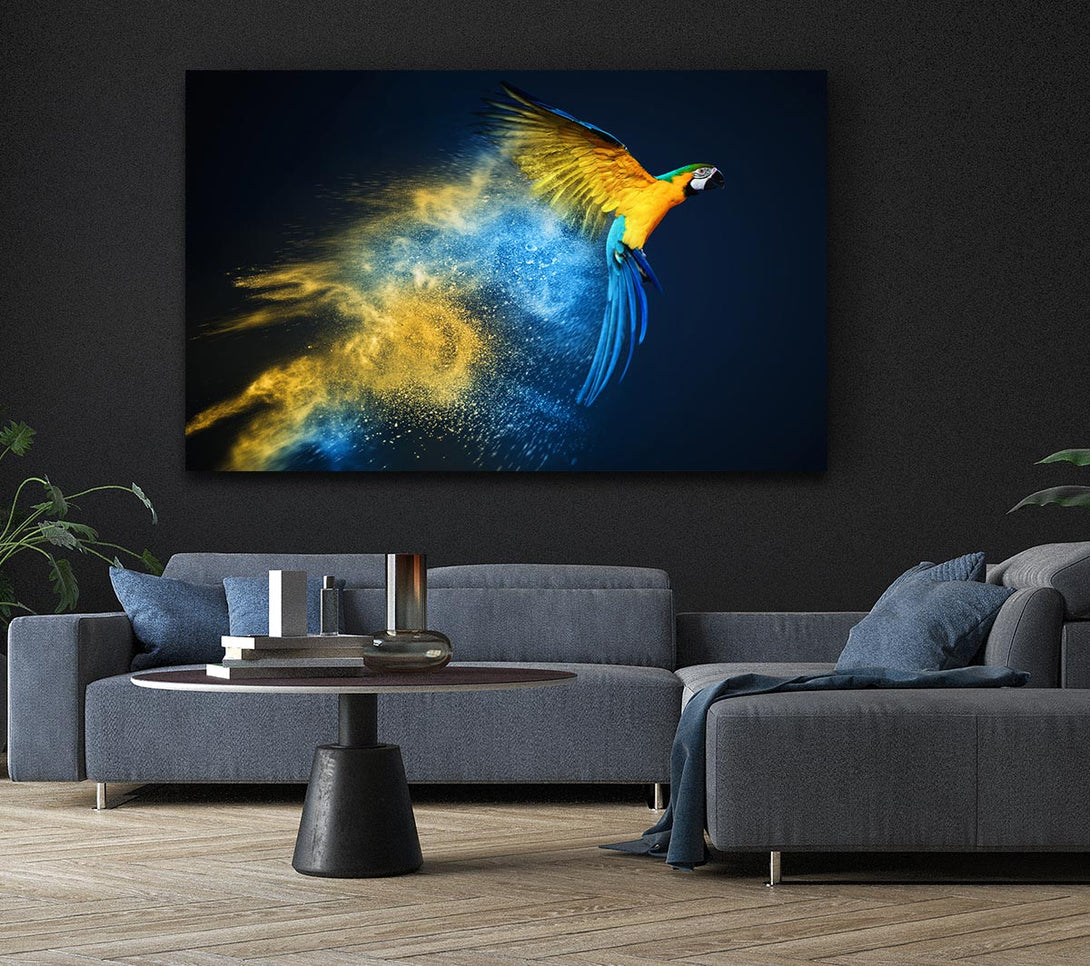 Picture of powder parrot take off Canvas Print Wall Art