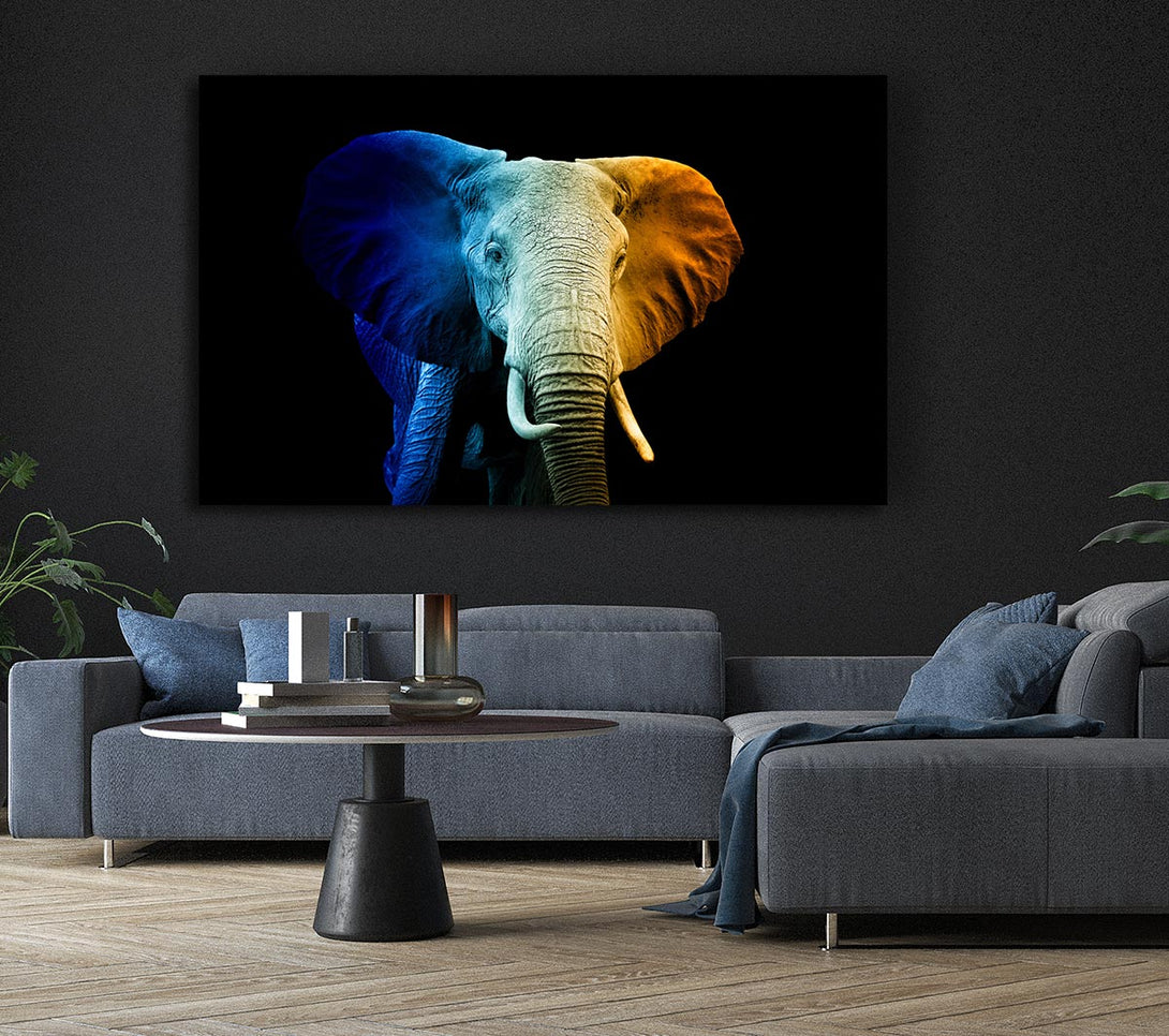 Picture of Tri Coloured Elephant Canvas Print Wall Art