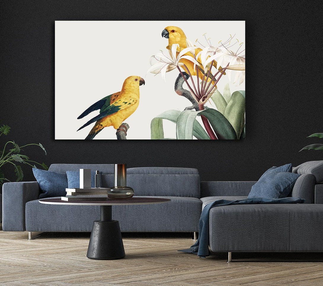 Picture of Two Yellow Parrots Canvas Print Wall Art