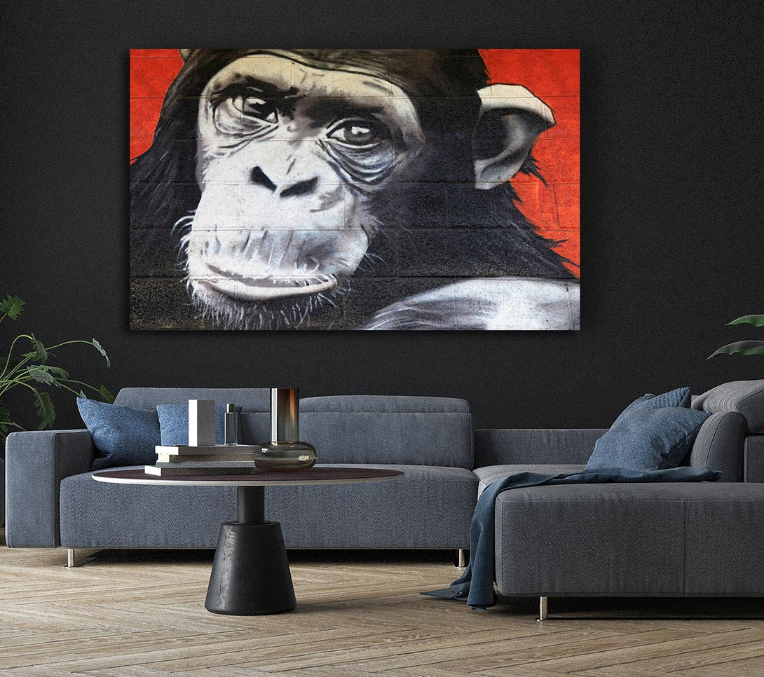 Picture of The Chimp On Red Canvas Print Wall Art