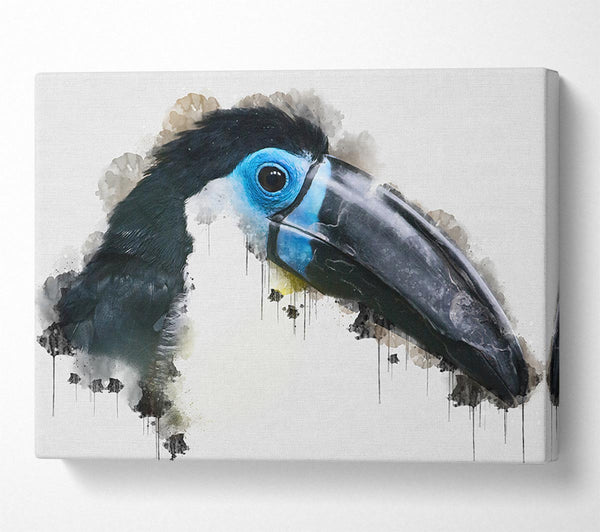 Toucan Watercolour