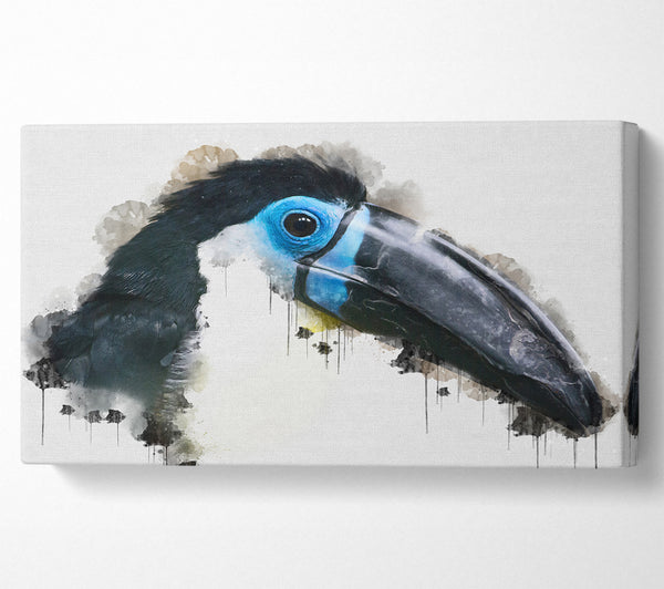 Toucan Watercolour